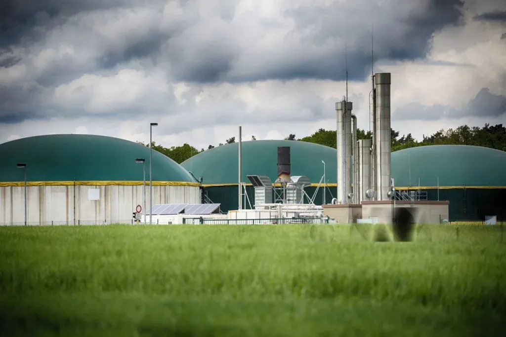 Organic fertilizer company for eco-friendly farming