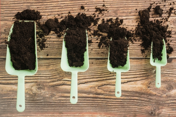 Types of Fertilizers Used in Agriculture